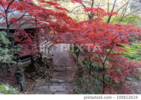 Daisen (Isehara City, Kanagawa Prefecture) Scenery of Onnazaka (near Daisenji Temple) 109812619