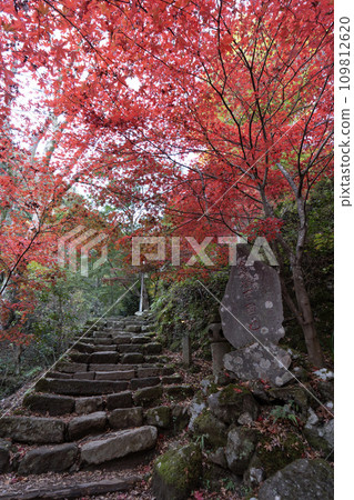 Daisen (Isehara City, Kanagawa Prefecture) Scenery of Onnazaka (near Daisenji Temple) 109812620