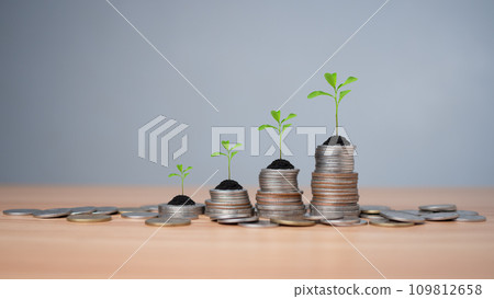 Concept of investment growth, Showing financial developments and business growth with a growing tree on a coin, Money Growth Concept, Concept of rich wealthy and saving money, Investing in stocks. 109812658