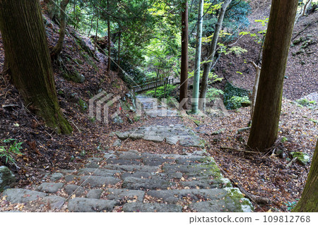 Mt. Daisen (Isehara City, Kanagawa Prefecture) mountain trail - Onnazaka scenery 109812768