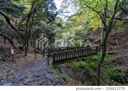 Mt. Daisen (Isehara City, Kanagawa Prefecture) mountain trail - Onnazaka scenery 109812770