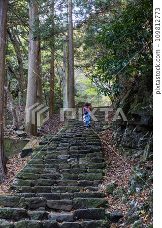 Mt. Daisen (Isehara City, Kanagawa Prefecture) mountain trail - Onnazaka scenery 109812773