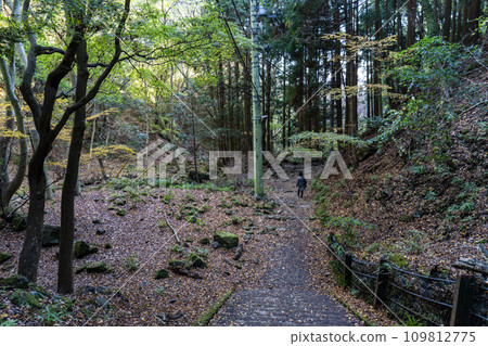 大山（神奈川縣伊勢原市）登山步道-恩名坂風景 109812775