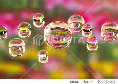 Flowers reflected in water drops Flowers reflected in water drops 109812905