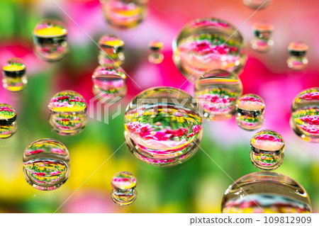 Flowers reflected in water drops Flowers reflected in water drops 109812909