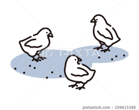 小雞的插圖 109813388
