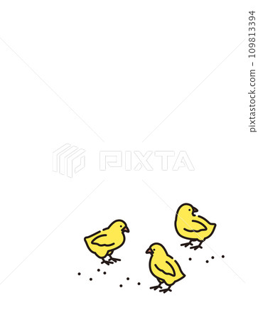 小雞的插圖 109813394