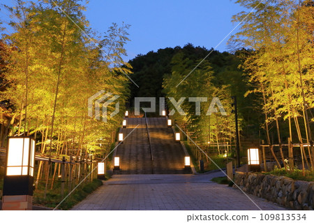 Nagato Yumoto Onsen Town Bamboo Forest Stairs Illumination Nagato Yumoto Onsen Town Bamboo Forest Stairs Illumination 109813534