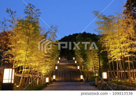 長門湯本溫泉鎮竹林樓梯燈飾 109813536