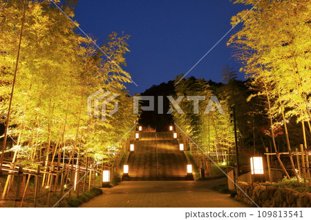 Nagato Yumoto Onsen Town Bamboo Forest Stairs Illumination Nagato Yumoto Onsen Town Bamboo Forest Stairs Illumination 109813541