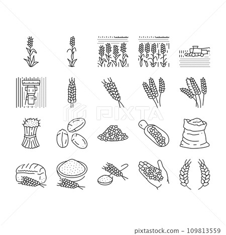 wheat grain bread harvest icons set vector wheat grain bread harvest icons set vector 109813559
