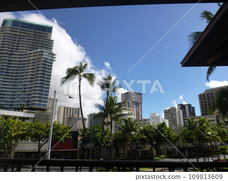 Hawaiian scenery 109813609