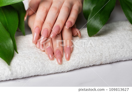 Female hands with pink nail design  and  green leaves 109813627
