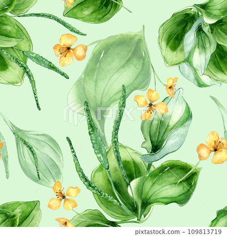 Plantago broadleaf, celandine watercolor seamless pattern isolated on pastel background. Plantain, green leaves, herb chelidonium, psyllium hand drawn. Design for textile, package, wallpaper, wrapping 109813719