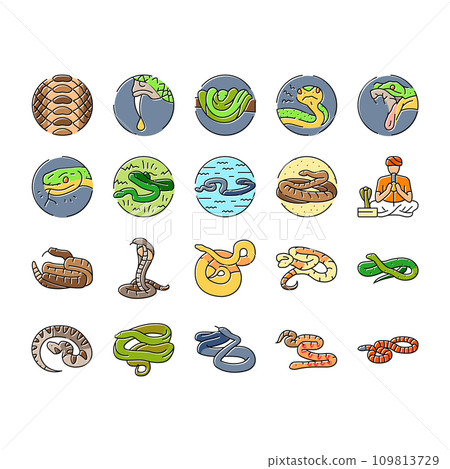 snake black serpent viper cobra icons set vector snake black serpent viper cobra icons set vector 109813729