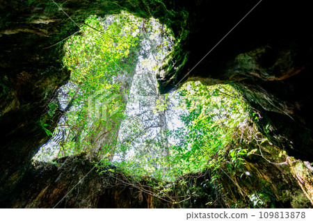 威爾遜股票 109813878