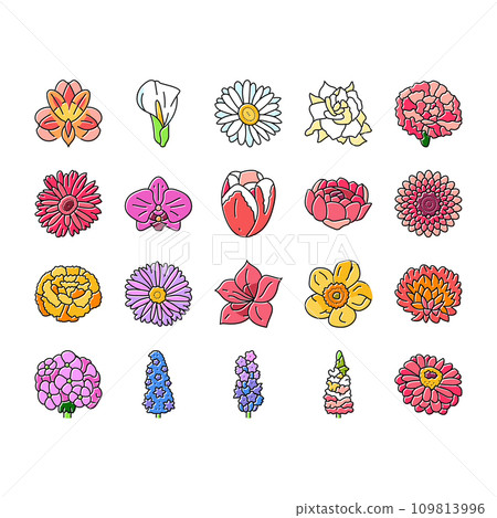 flower spring floral blossom icons set vector 109813996