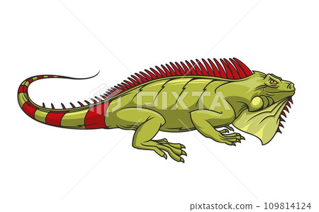 Cartoon iguana mascot. Sport club or league angry lizard iguana character mascot, aggressive wild animal or jungle green reptile personage isolated vector sticker or company symbol Cartoon iguana mascot. Sport club or league angry lizard iguana character mascot, aggressive wild animal or jungle green reptile personage isolated vector sticker or company symbol 109814124