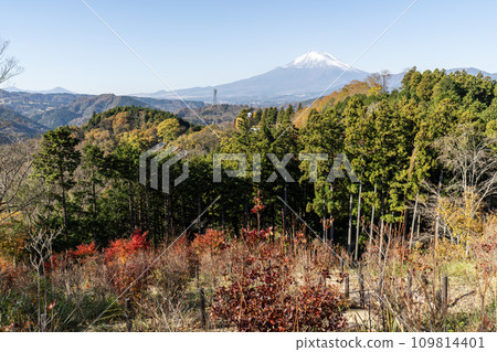 神奈川縣山北圓野公園內的風景 109814401