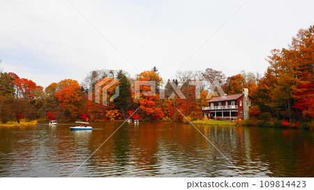 Karuizawa Taliesin's red autumn leaves and pond 109814423