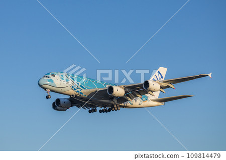 Passenger plane/airplane/ANA A380/Flying Honu landing at Narita Airport Passenger plane/airplane/ANA A380/Flying Honu landing at Narita Airport 109814479