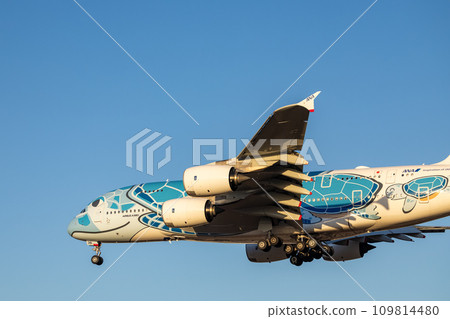 Passenger plane/airplane/ANA A380/Flying Honu landing at Narita Airport Passenger plane/airplane/ANA A380/Flying Honu landing at Narita Airport 109814480