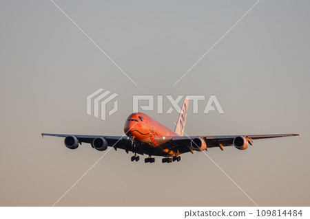 Passenger plane/airplane/ANA A380/Flying Honu landing at Narita Airport 109814484