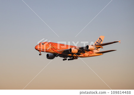 客機/飛機/全日空 A380/Flying Honu 降落在成田機場 109814488