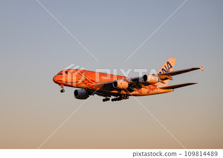 客機/飛機/全日空 A380/Flying Honu 降落在成田機場 客機/飛機/全日空 A380/Flying Honu 降落在成田機場 109814489