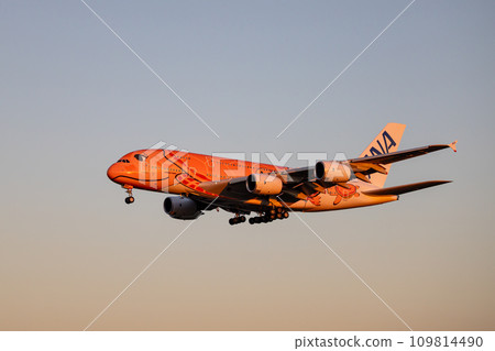 Passenger plane/airplane/ANA A380/Flying Honu landing at Narita Airport 109814490