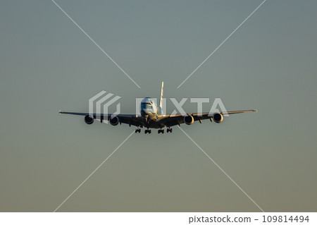 Passenger plane/airplane/ANA A380/Flying Honu landing at Narita Airport Passenger plane/airplane/ANA A380/Flying Honu landing at Narita Airport 109814494