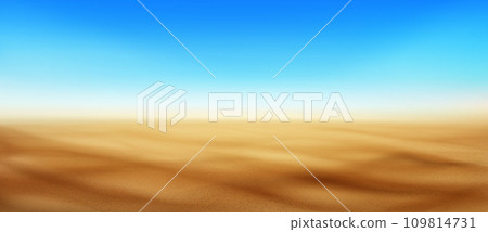 Blurred summer beach background 109814731