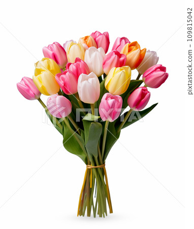 Bouquet of multi-colored tulips on a white background. 109815042