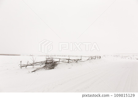 A crooked village fence, winter snowy landscape A crooked village fence, winter snowy landscape 109815129