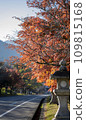 秋葉落 109815168