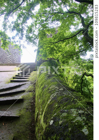 岡城跡/大手門（大分縣/竹田市） 109815283