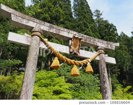 Torii of Nemichi Shrine (Mone's Pond, Seki City, Gifu Prefecture) Torii of Nemichi Shrine (Mone's Pond, Seki City, Gifu Prefecture) 109816604