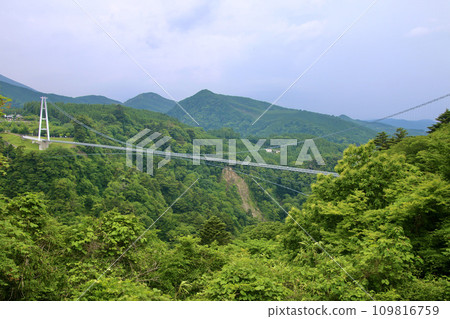 九重「夢想」吊橋(大分縣九重町) 九重「夢想」吊橋(大分縣九重町) 109816759