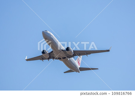 Japan Airlines Boeing 737, a passenger plane taking off from Narita Airport 109816766