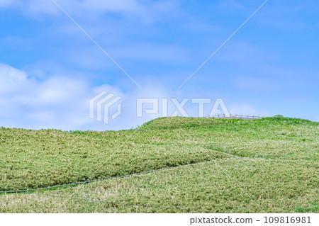 夏季山丘被綠色覆蓋（自然圖像） 109816981