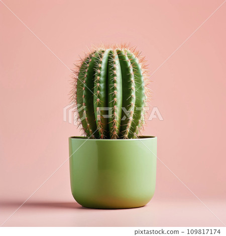 AI-generated content. Cacti in clay pots. Minimalism. 109817174
