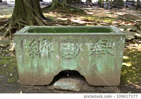 川口市步道/峰丘八幡神社礦山 川口市步道/峰丘八幡神社礦山 109817177