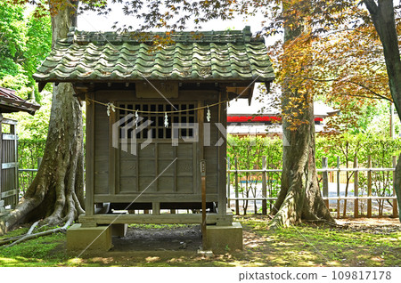川口市步道/峰丘八幡神社礦山 川口市步道/峰丘八幡神社礦山 109817178