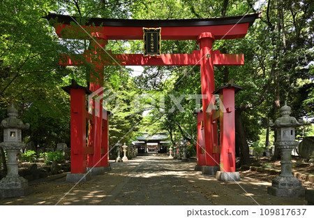 川口市步道/峰丘八幡神社礦山 川口市步道/峰丘八幡神社礦山 109817637