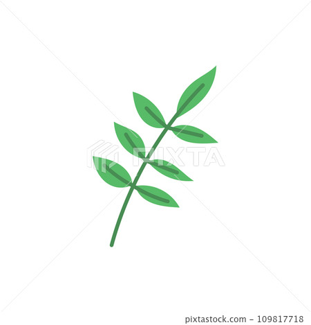 Twig with leaves, green foliage, plant summer season, vector zero waste herbal symbol, Eco friendly botanical leaf Twig with leaves, green foliage, plant summer season, vector zero waste herbal symbol, Eco friendly botanical leaf 109817718