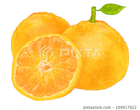 Realistic summer mandarin oranges with leaves, 3 pieces of sweet summer 109817822