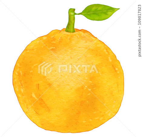 Summer mandarin oranges with realistic leaves/Amanatsu 109817823