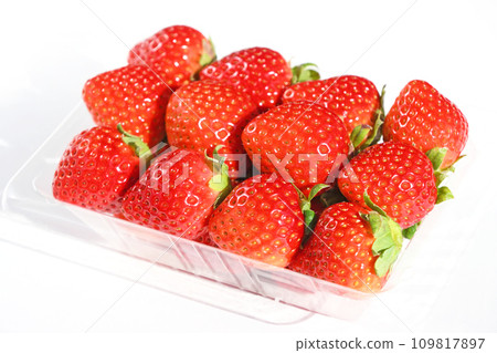 一護(錦井美里) 一護(錦井美里) 109817897