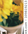 Yellow flowers photographed with a film camera 109819213