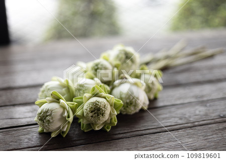 Fresh White Lotus Flower folded.  Thai style. lotus flower on wooden table. 109819601
